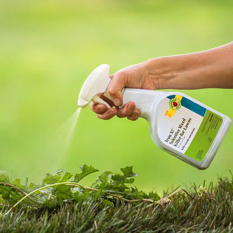 10 Best Weed And Grass Killer 2020 Guide