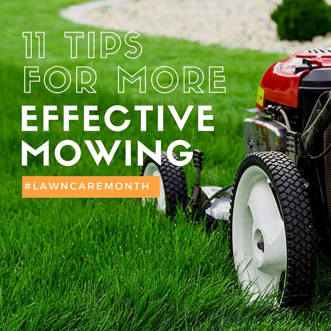 11 Tips for More Effective Mowing