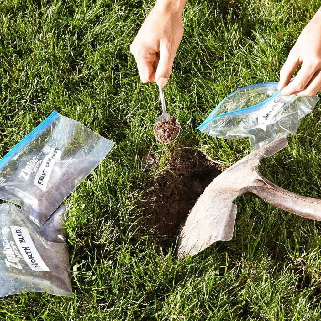 18 Things You Should Never Do To Your Lawn