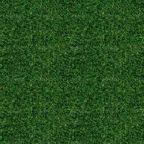 21+ Green Lawn Textures, Photoshop Textures