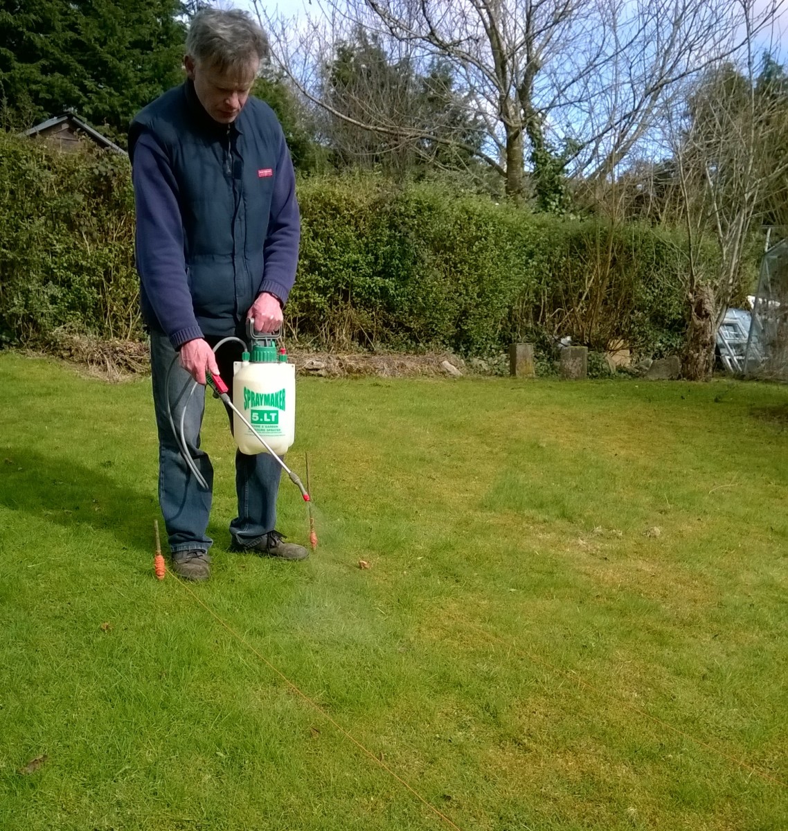 3 Easy Steps to Killing Moss in Lawns