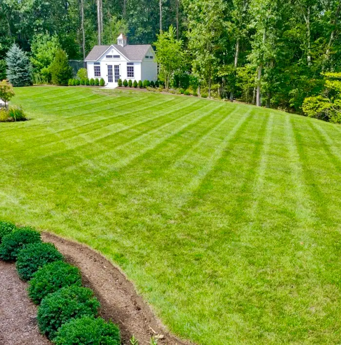 3 Key Steps for a Beautiful Lush Lawn Next Spring: Aerate, Compost ...