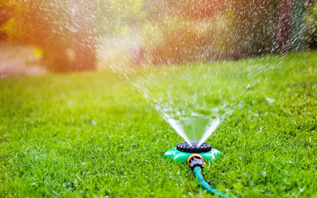 3 Tips for Watering Your Lawn This Summer
