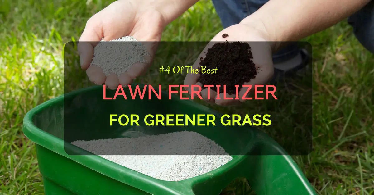 4 Of The Best Lawn Fertilizer For Greener Grass