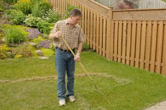 4 Simple Ways To Remove Thatch From Your Lawn Using Expert ...