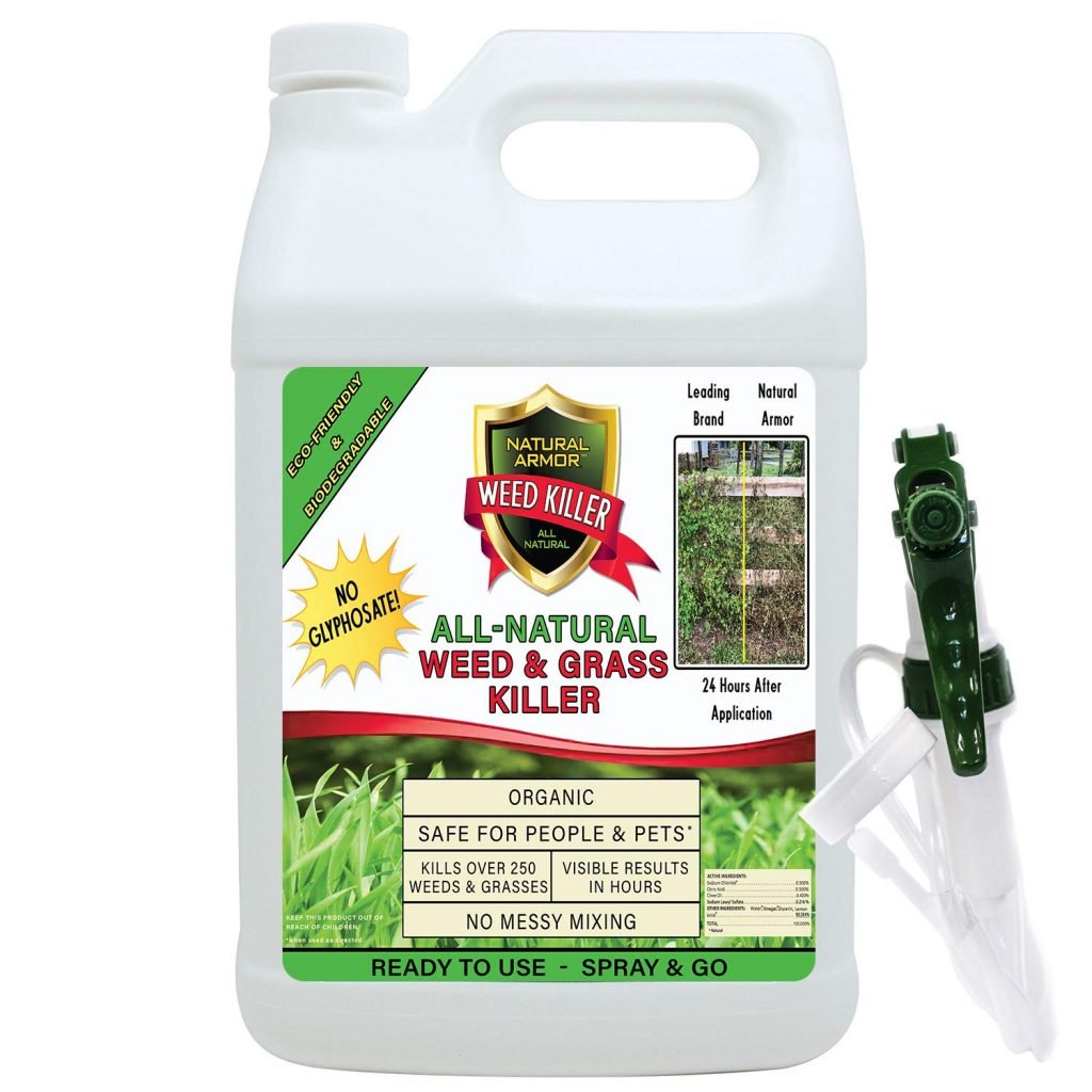 5 Best And Most Recommended Weed Killer Spray 2020 Guide ...