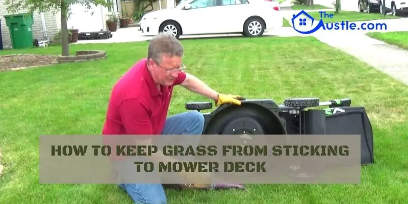 5 DIY Tricks To How To Keep Grass From Sticking To Mower Deck!
