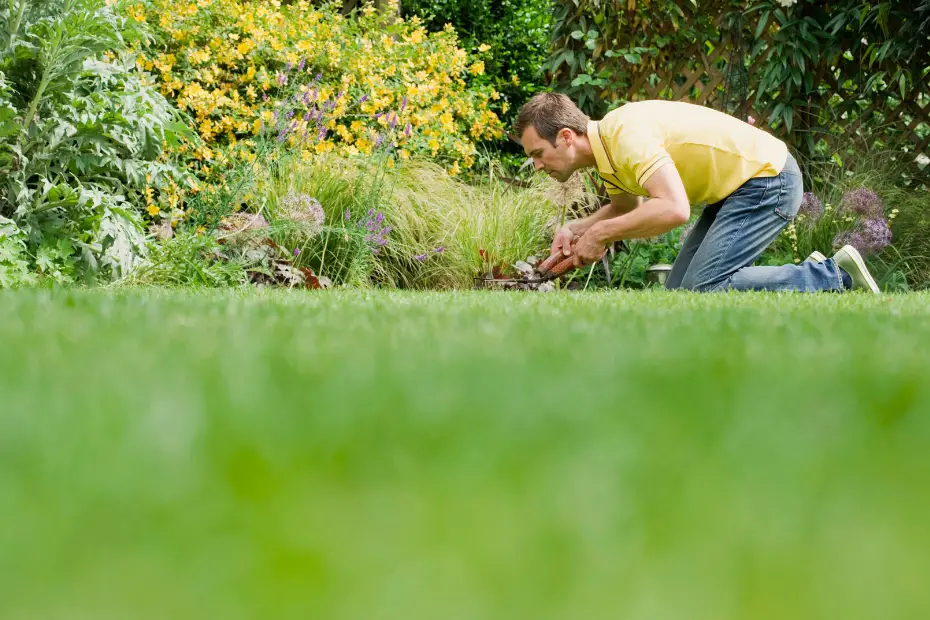 5 Easy Ways To Improve Your Lawn
