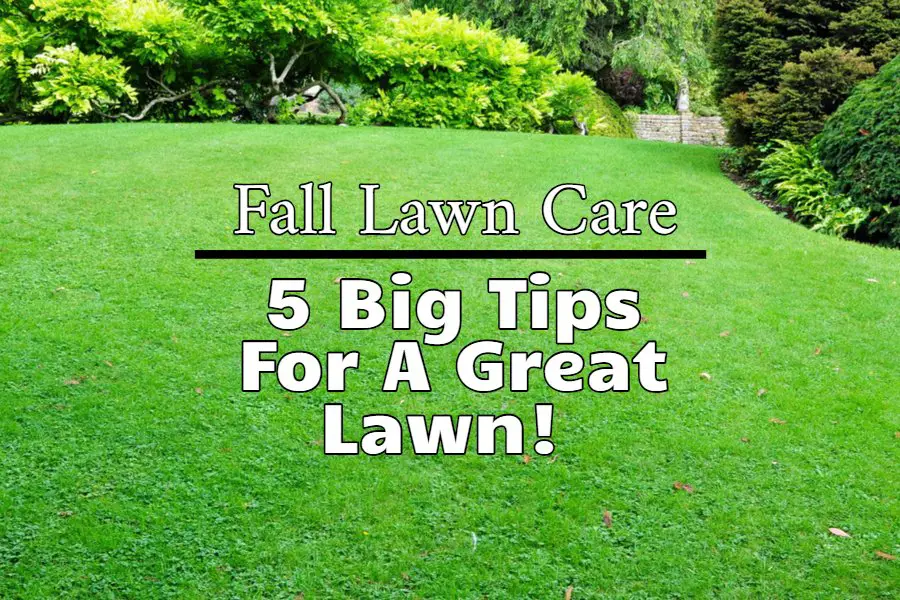 5 Fall Lawn Care Tips To Get Your Grass In Great Shape!