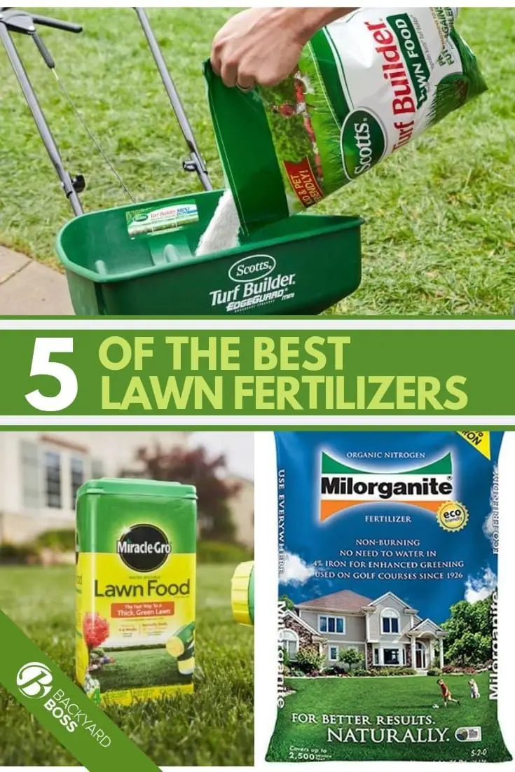 5 Of The Best Lawn Fertilizers