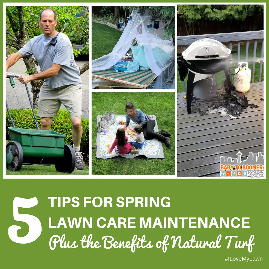 5 Tips for Spring Lawn Care Maintenance Plus the Benefits of Natural ...