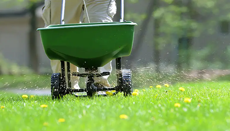 5 Useful Tips To Avoid Lawn Burn In Summer: You Should ...