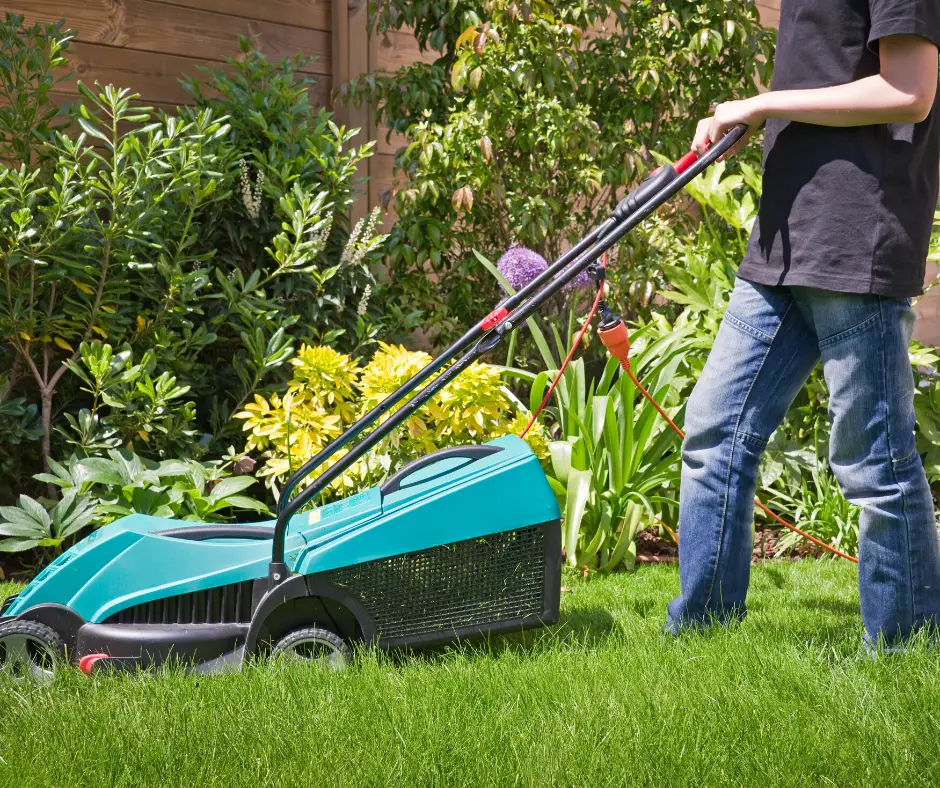 5 Ways to Care for Your Lawn This Summer: Lawn Care