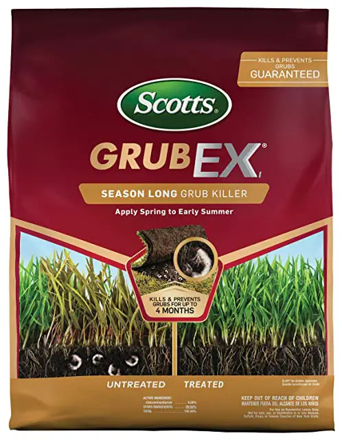 6 Best Grub Killer For Lawn [May 2021] Review and Buying Guide
