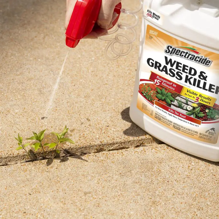 6 Best Weed Killers for Lawns 2021 (Best Herbicide)