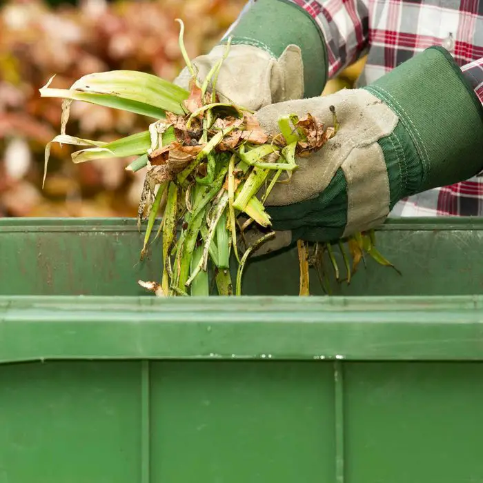 6 Ways to Dispose of Yard Waste