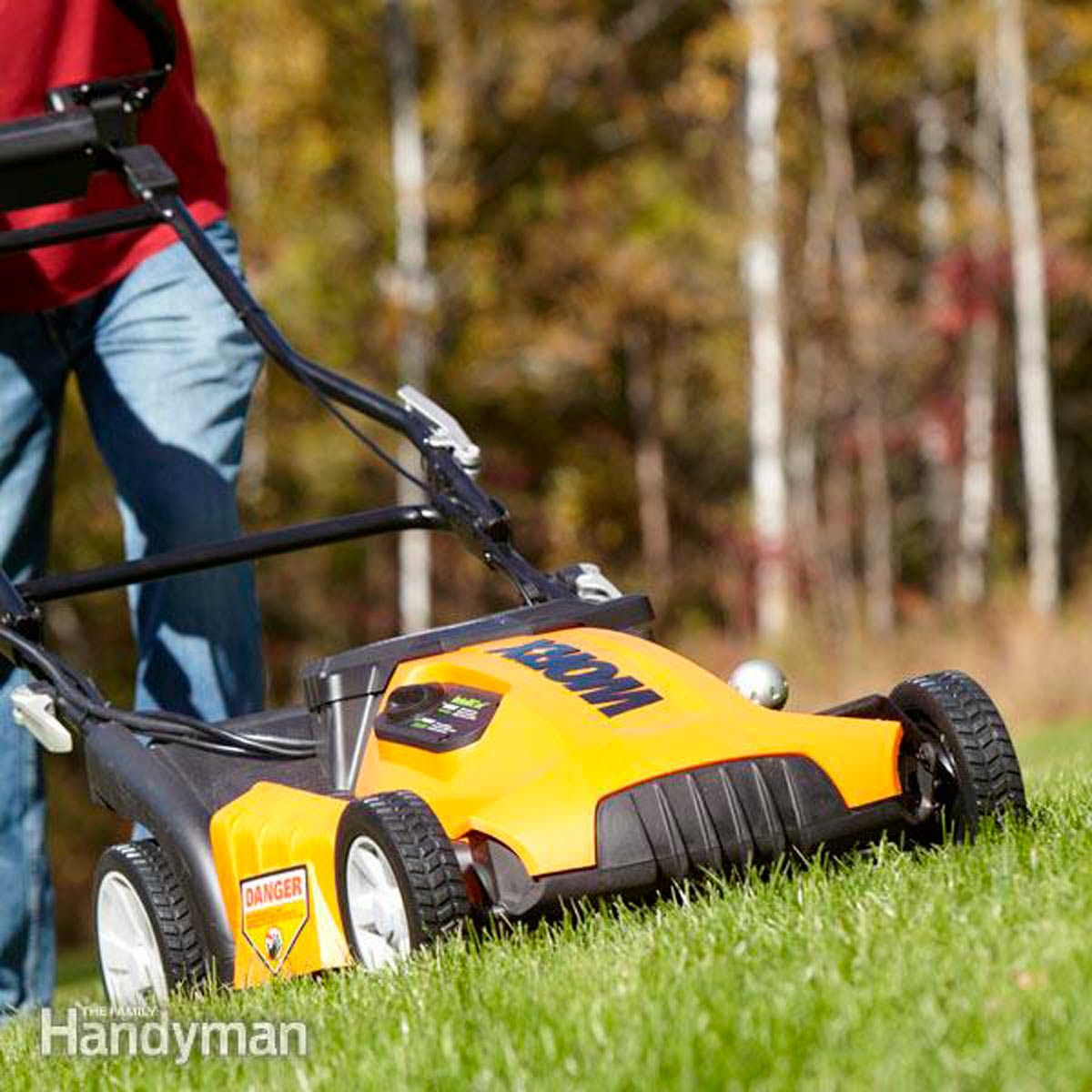 7 Organic Lawn Care Tips to Try This Year
