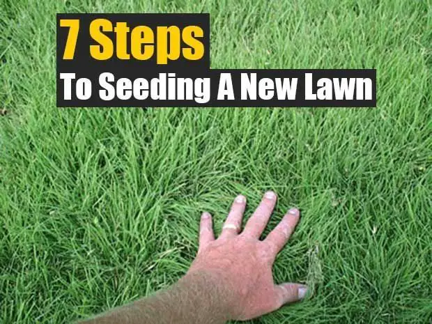 7 Steps to Seeding a New Lawn