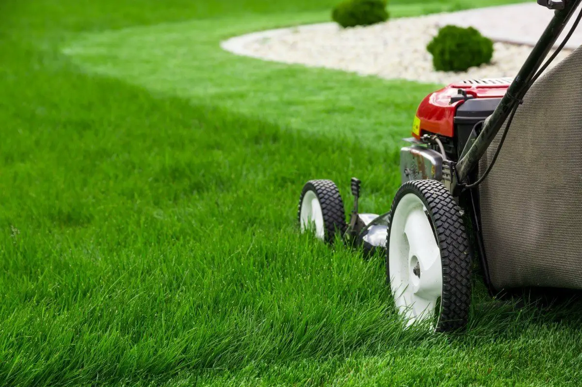 8 Ways to Make Mowing Your Lawn Easier