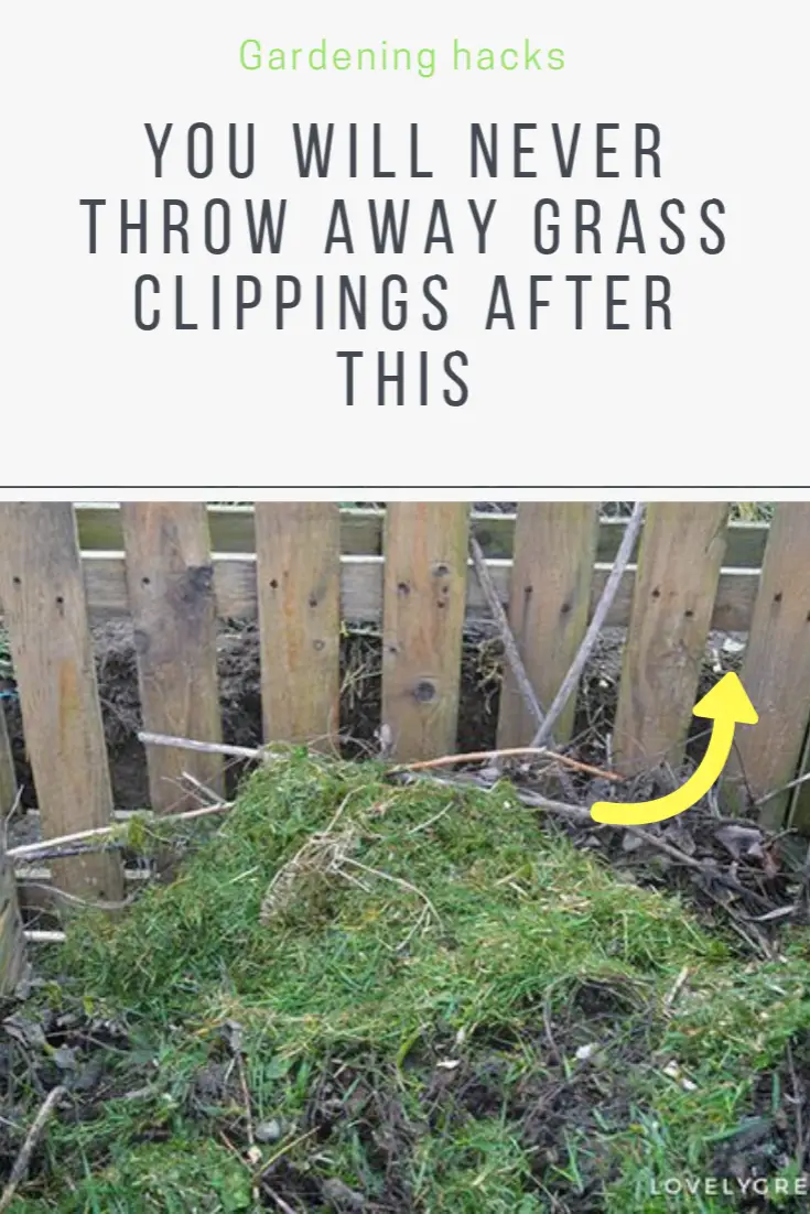 9 Things To Do With Grass Clippings You Probably Never ...