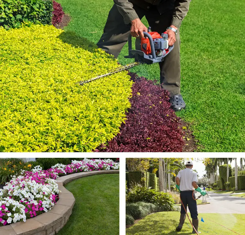 A &  A Lawn Care Services &  Landscaping In New Braunfels TX