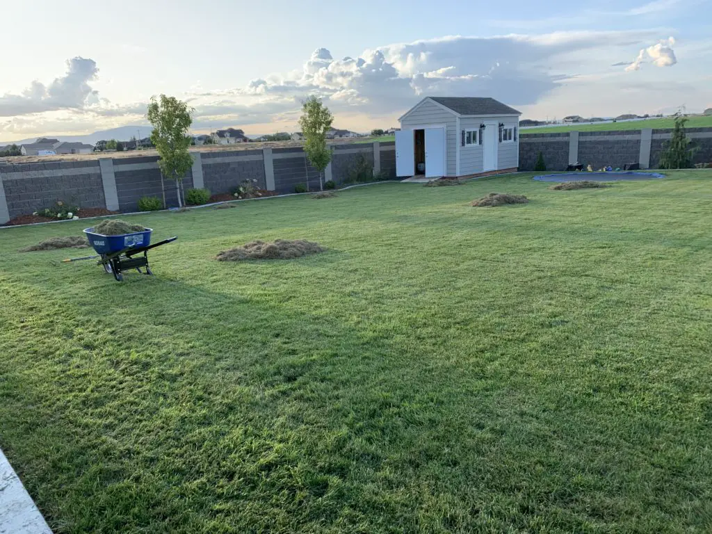 A Golf Course Lawn: How I saved $1000