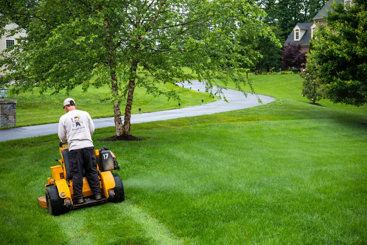 A Look at Lawn Mowing Jobs in Alexandria, VA: Going From Paying the ...