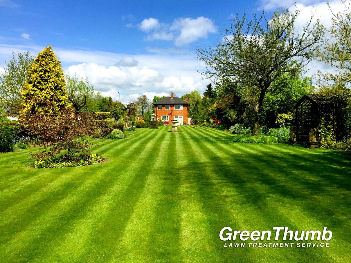 A Sensational lawn in Staffordshire #LawnStripes # ...