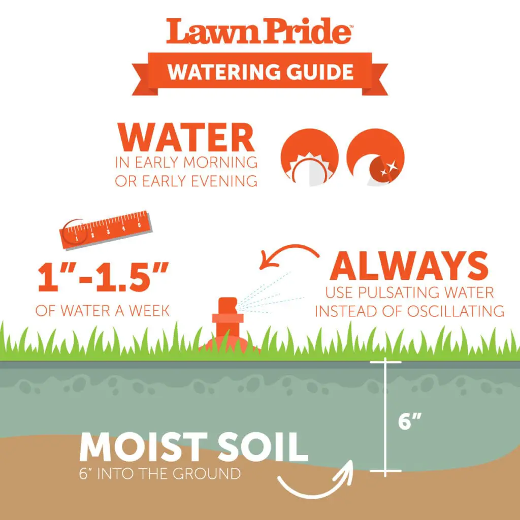A Watering Schedule for Your Central Indiana Yard