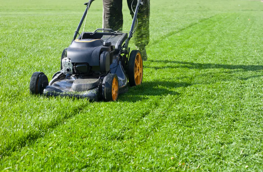 Advantages Of Residential Lawn Mowing
