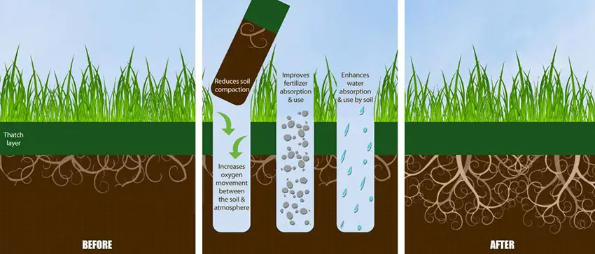 Aeration &  Soil Treatment