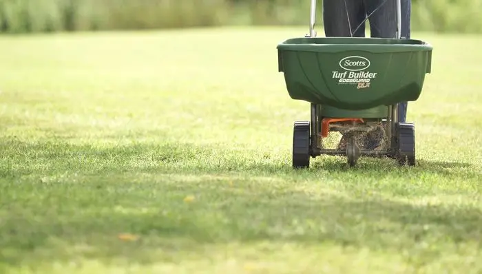 All the basics of lawn care in 2020