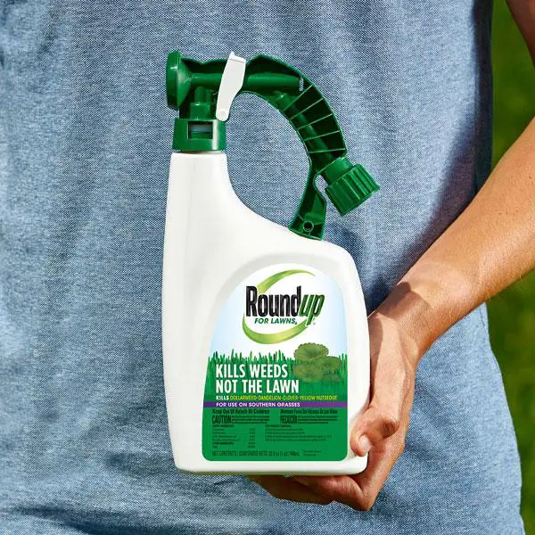Amazon.com : Roundup For Lawns Ready