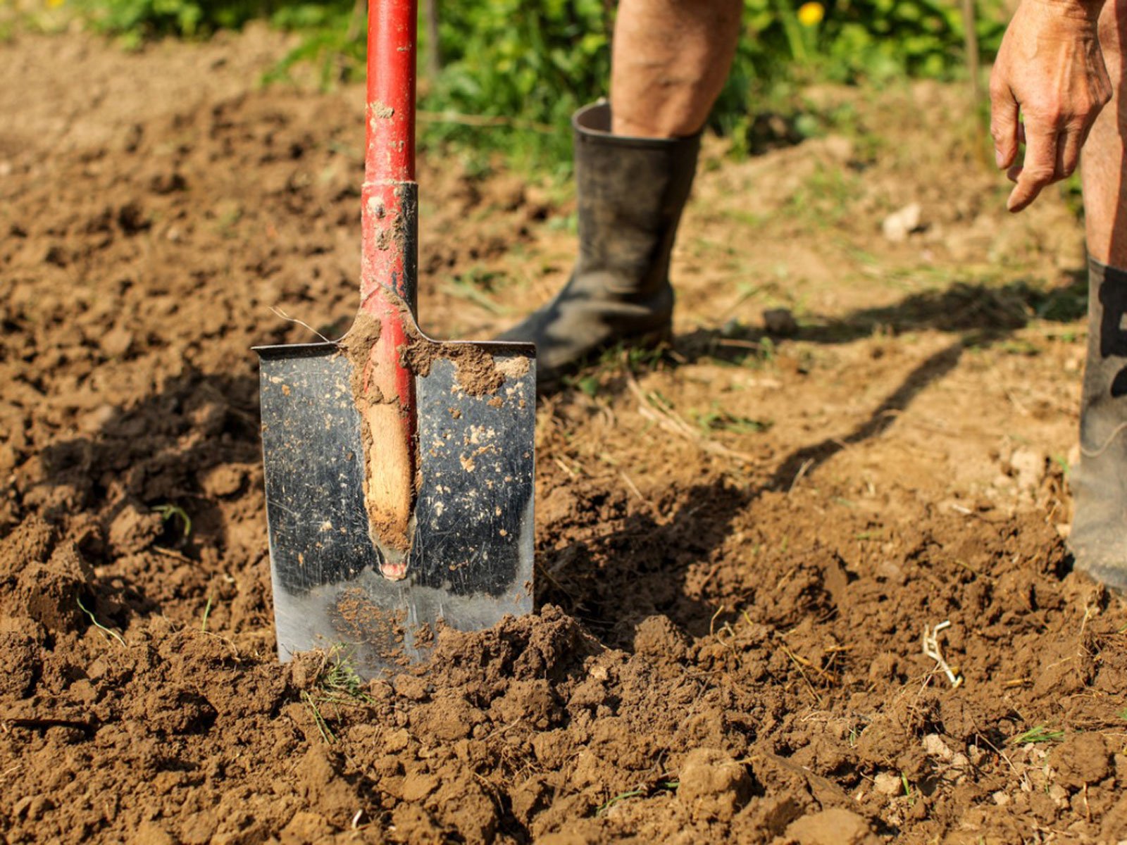 Amending Clay Soil: Improving Clay Soil In Your Yard