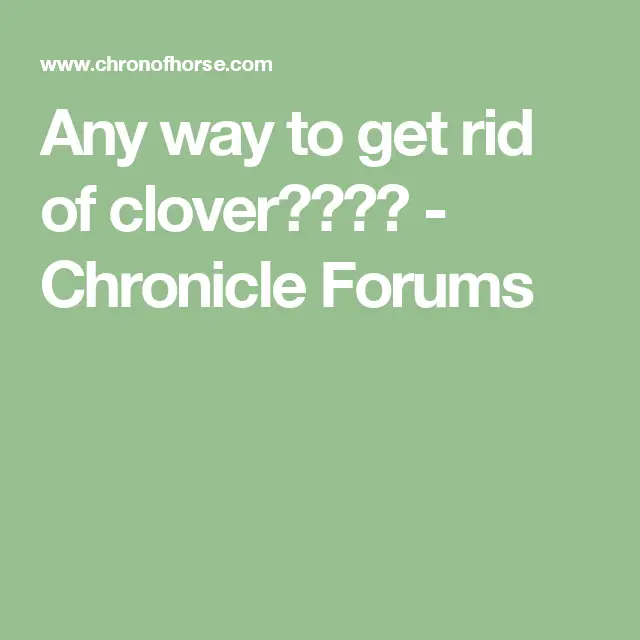 Any way to get rid of clover????