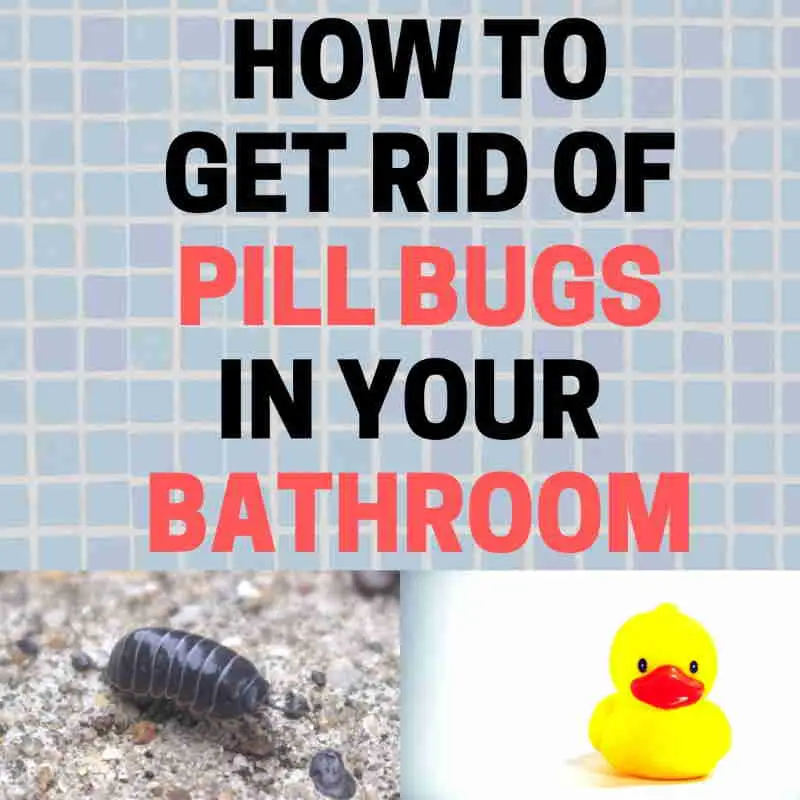 Are Rolly Polly Bugs Bad For Garden