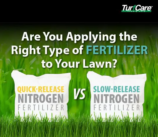 Are you Applying the Right Type of Fertilizer to Your Lawn?