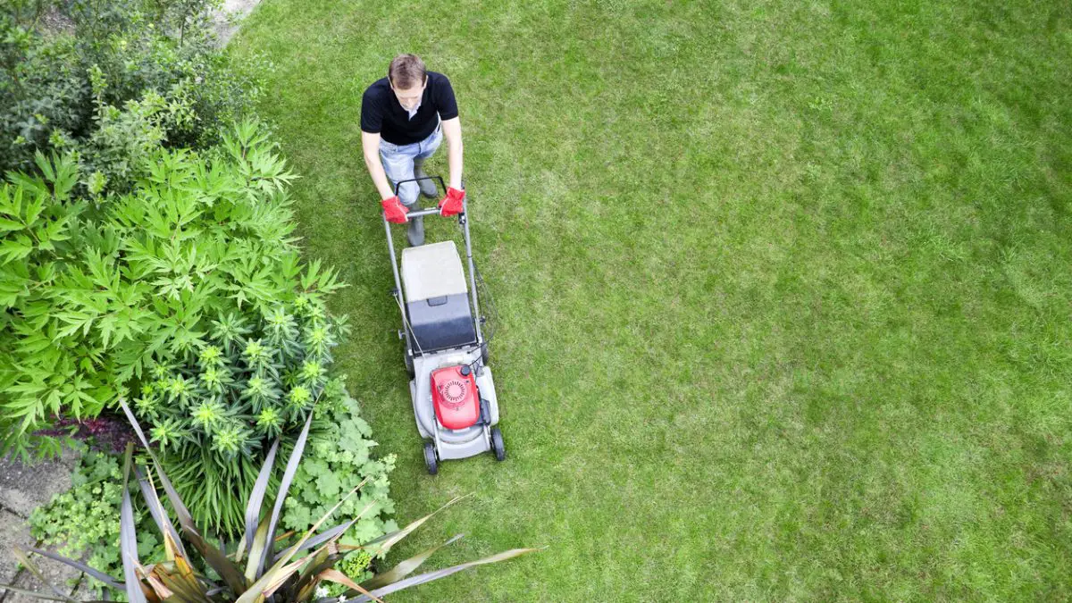 Ask a Lawn Specialist: My Grass Has Brown Spots. How Do I ...