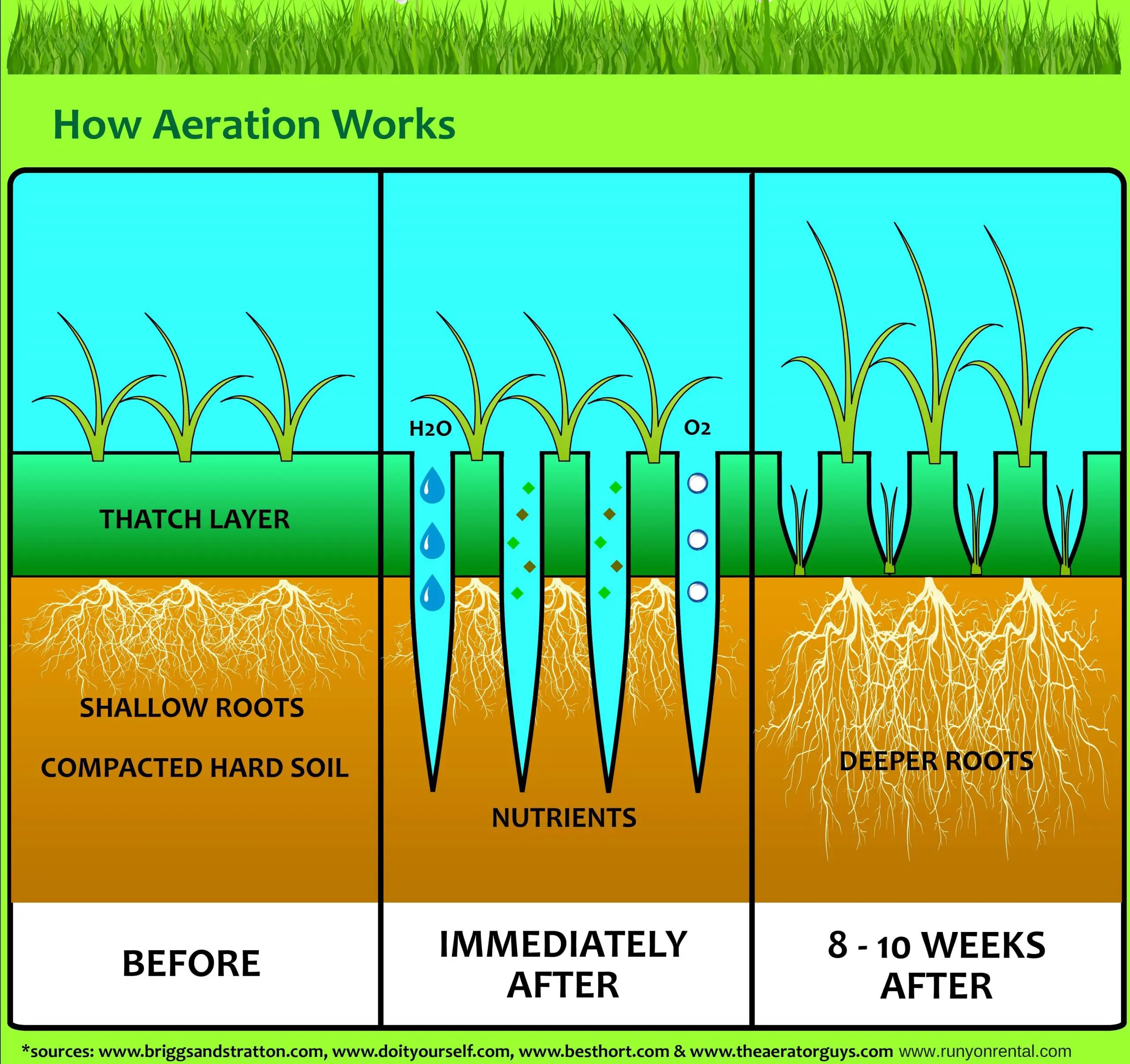 Benefits of core aeration for lawns