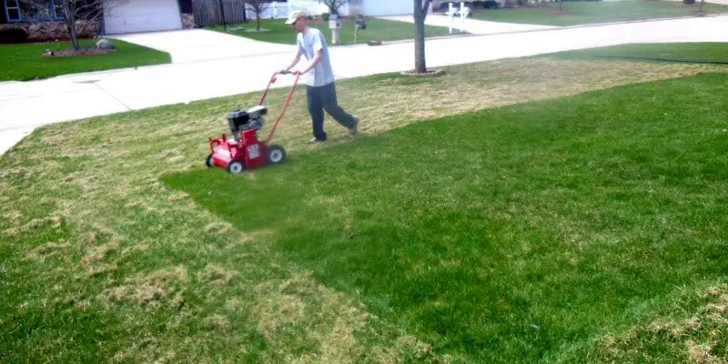 Benefits of Dethatching and Aerating Your Lawn