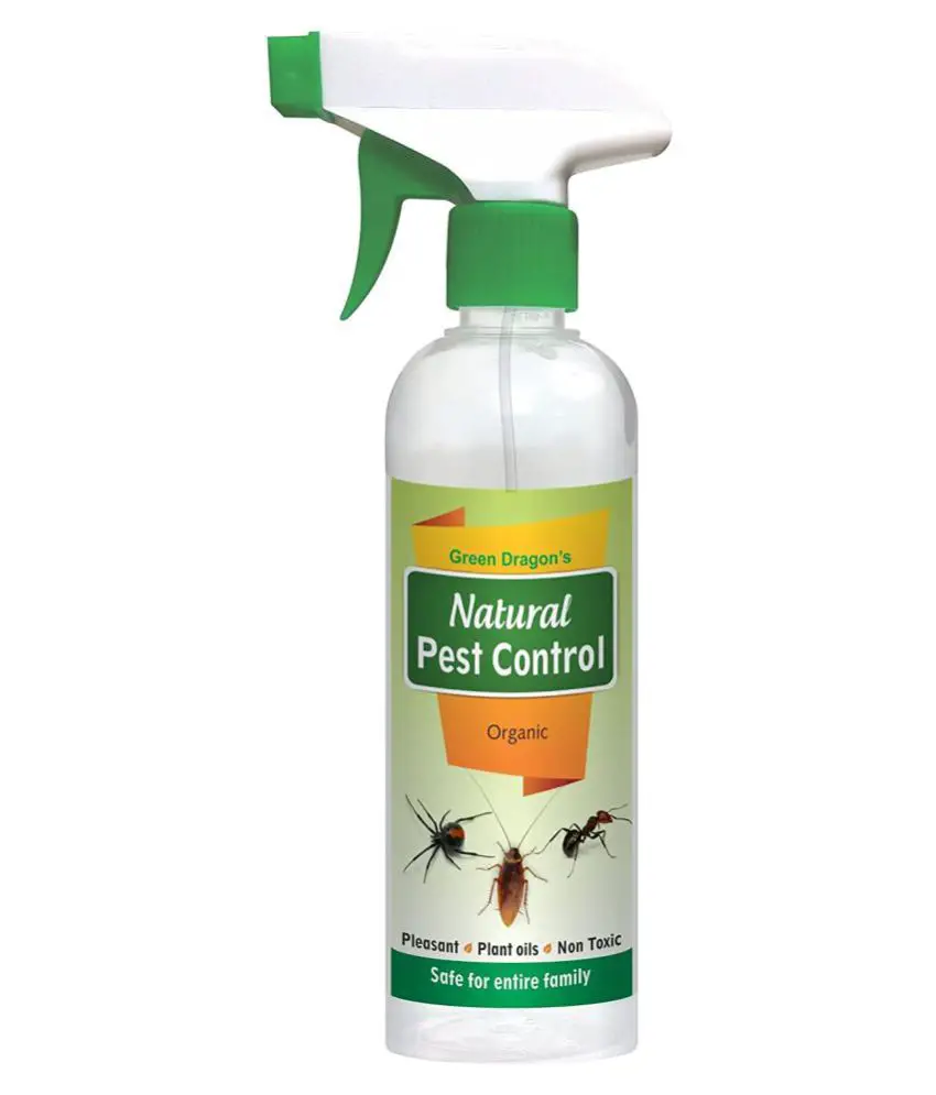 Best Do It Yourself Mosquito Control