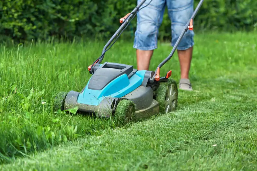 Best Electric Lawn Mower for 2021