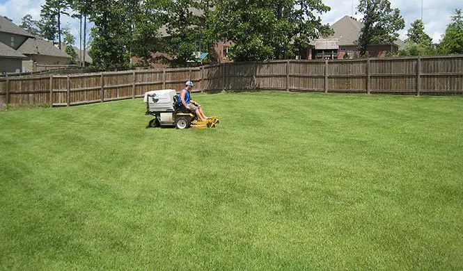 Best Lawn Care & Lawn Maintenance in Little Rock