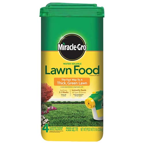 Best Lawn Fertilizer for Grass