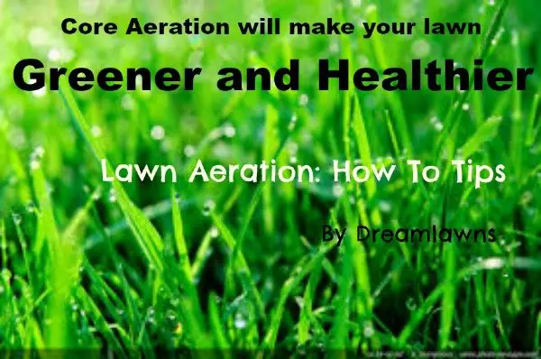 Best Time To Aerate And Overseed Lawn In Virginia