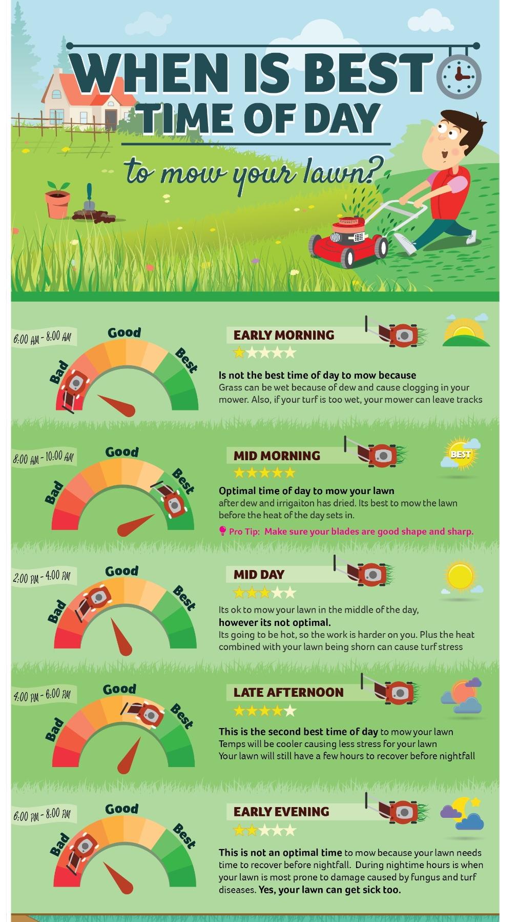 Best time to mow lawn : coolguides