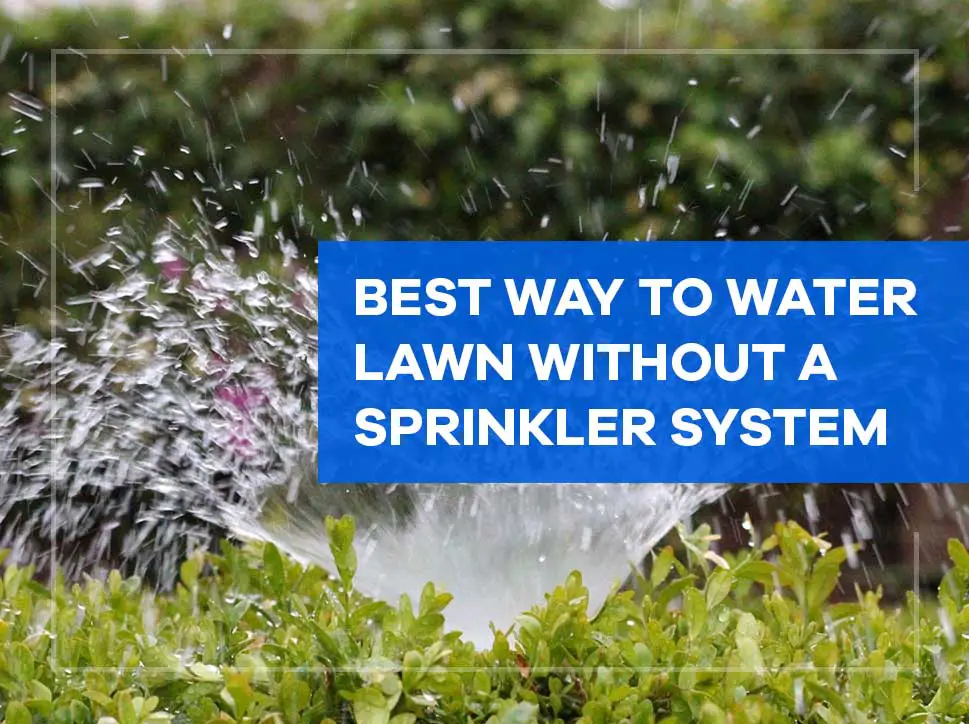 Best Way to Water Lawn Without a Sprinkler System