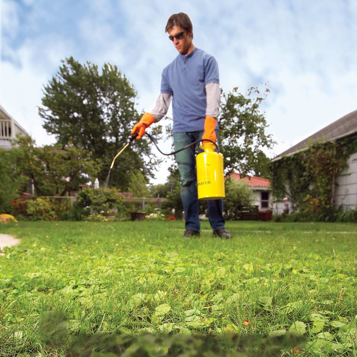 Best Weed Killer: How to Get Rid of Weeds in Grass