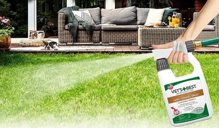 Best Yard Spray for Fleas and Ticks That Are Safe for Pets