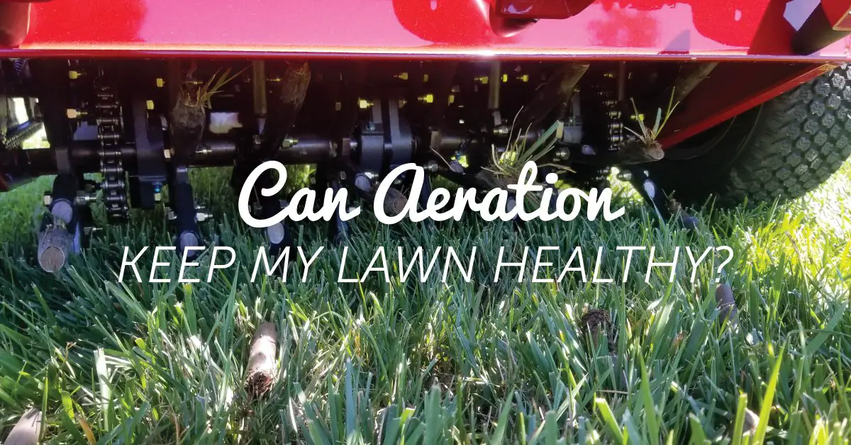 Can Aeration Keep My Lawn Healthy?
